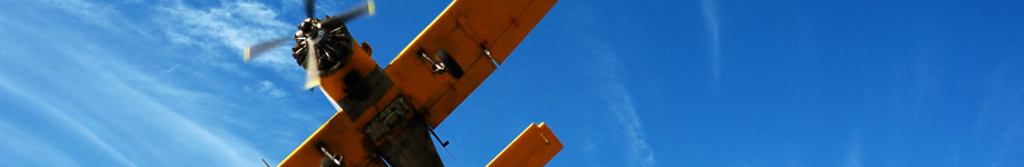 Il taccuino di Armando Leotta Rotating Header Image