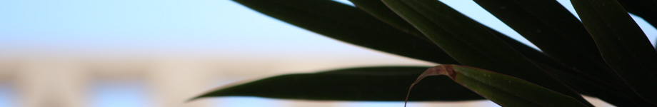 Il taccuino di Armando Leotta Rotating Header Image