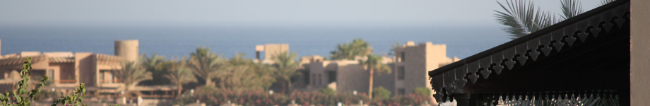 Il taccuino di Armando Leotta Rotating Header Image